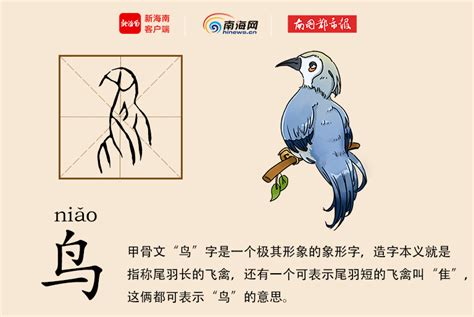 影 意思 鳥圖